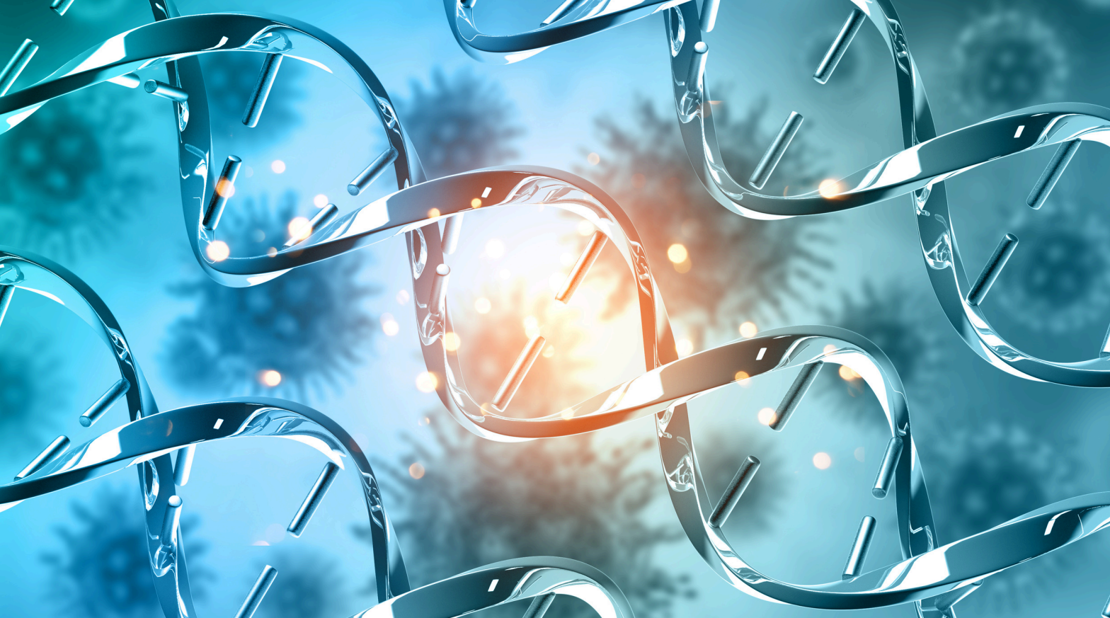 Patologías Tratadas